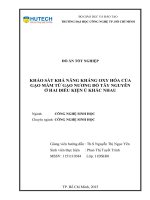 Khảo sát khả năng kháng oxy hóa của gạo mầm từ gạo nương đỏ tây nguyên ở hai điều kiện ủ khác nhau 