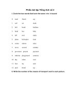 Tải Phiếu bài tập ôn ở nhà môn Tiếng Anh lớp 7- số 2 - Bài tập nghỉ ở nhà môn Tiếng Anh 7