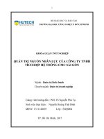 Quản trị nguồn nhân lực của công ty TNHH tích hợp hệ thống CMC sài gòn 