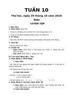 Giao an Tuan 10  Lop 1