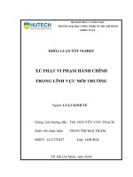 Xử phạt vi phạm hành chính trong lĩnh vực môi trường 