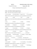 Tải Đề kiểm tra học kì 2 môn Tiếng Anh lớp 10 năm 2013 - 2014 trường THPT Phú Nhuận - Đề thi học kì 2 môn Tiếng Anh lớp 10