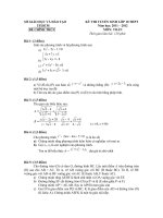 De va goi y mon Toan tuyen sinh 10 TP Ho Chi Minh 2262011