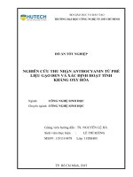 Nghiên cứu thu nhận anthocyanin từ phế liệu gạo đen và hoạt tính chống oxy hóa 