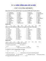 Tải Bài tập Tiếng Anh lớp 10 Unit 7 Cultural Diversity - Ôn tập Tiếng Anh 10 mới theo từng Unit có đáp án
