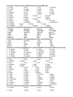 Tải Bài tập tiếng Anh ôn thi lớp 5 lên lớp 6 (số 1) - Ôn tập tiếng Anh lớp 5