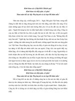 Dan chuong trinh 2011