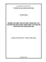 Nghiên cứu biến tính vỏ trấu thành xúc tác cacbon hóa mao quản trung bình, sử dụng để tổng hợp dầu nhờn sinh học 