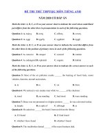 Tải Đề thi thử THPT Quốc Gia môn tiếng Anh năm 2020 số 17 - Đề ôn thi tốt nghiệp THPT 2020 môn Anh có đáp án