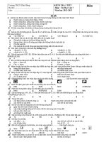de thi hoc ki 1 tin 7