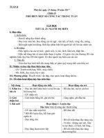 Giao an Tuan 8  Lop 2