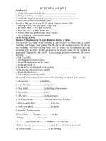 Tải Đề ôn thi học kì 2 lớp 5 môn tiếng Anh - Ôn tập học kì 2 lớp 5 môn tiếng Anh