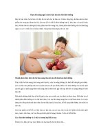 Tải Thực đơn hằng ngày cho bà bầu đầy đủ chất dinh dưỡng - Chế độ ăn uống đầy đủ chất dinh dưỡng hằng ngày cho bà bầu