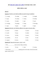 Tải Bộ đề thi giữa học kì 2 lớp 8 môn Tiếng Anh năm học 2018 - 2019 - Ôn thi giữa học kì 2 môn Tiếng Anh lớp 8