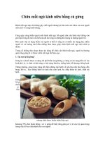 Tải Chữa mất ngủ kinh niên bằng củ gừng - Tác dụng chữa mất ngủ của củ gừng