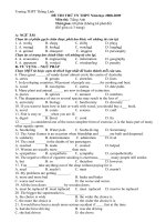DE THI THU TN THPT Nam hoc 20082009 Mon thi Tieng Anh