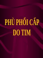 PHÙ PHỔI cấp DO TIM (BỆNH học nội) 
