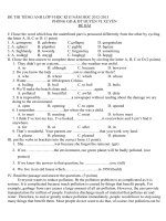 de thi hoc ki II nam hoc 1213 E9