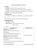 Tải Giáo án môn Thủ công 1 bài 4 (Tiết 2) - Giáo án môn Thủ công 1 bài 4: Xé, dán hình quả cam