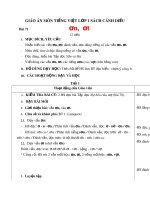 Giáo án môn Tiếng Việt lớp 1 sách Cánh Diều - Bài 71: ơn, ơt