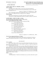 De va goi y mon Van TN THPT 2012