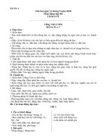 Giao an Tuan 3  Lop 1