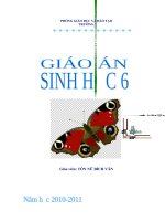 8 mau bia giao an Sinh hoc moi