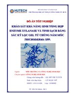 Khảo sát một số yếu tố ảnh hưởng đến quá trình sinh tổng hợp enzyme xylanase và tinh sạch bằng sắc ký lọc gel từ nấm mốc trichoderma 