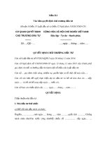 Mẫu Văn bản quyết định chủ trương đầu tư (Mẫu II.1)