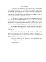 Pháp luật về biện pháp bảo đảm trong hợp đồng tín dụng 