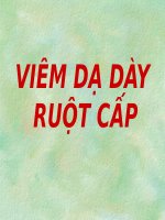 VIÊM dạ dày RUỘT cấp (BỆNH học nội) (chữ biến dạng do slide dùng font VNI times, tải về xem bình thường) 