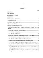 Thành lập doanh nghiệp có vốn đầu tư nước ngoài theo pháp luật việt nam thực tiễn tại thành phố hồ chí minh 