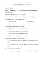 Tải Ôn tập Tiếng Anh lớp 12 Unit 8 The World Of Work - Bài tập Tiếng Anh lớp 12 chương trình mới