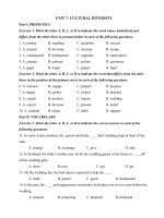 Tải Bài tập Tiếng Anh nâng cao lớp 10 Unit 7 Cultural Diversity - Ôn tập Tiếng Anh lớp 10 chương trình mới