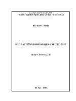 Tài liệu luận văn Ngữ Âm Tiếng BHNONG Qua Các Thổ Ngữ