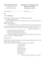 Tải Đề kiểm tra học kì 2 môn Ngữ văn 9 trường PT DTNT Hàm Thuận năm học 2014-2015 - Đề thi học kì 2 văn 9 có đáp án