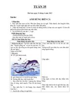 GIAO AN LOP 1 TUAN 35 CKT