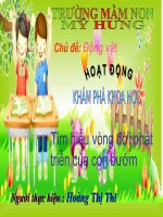kham pha vong doi phat trien cua buom
