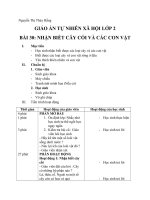 Bai 30 Nhan biet cay coi va cac con vat