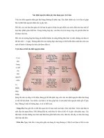 Tải Vị trí đau bụng: Biết nguyên nhân qua vị trí đau - Xác định nguyên nhân đau bụng qua vị trí đau