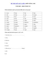 Tải Đề thi tiếng Anh lớp 6 giữa học kì 2 năm 2019 - 2020 số 4 - Đề kiểm tra tiếng Anh 6 mới có đáp án