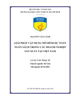 Giải pháp vận dụng mô hình dự toán ngân sách trong các doanh nghiệp sản xuất tại việt nam 