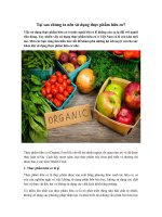 Tải Tại sao chúng ta nên sử dụng thực phẩm hữu cơ? - Thực phẩm hữu cơ, bước đột phá trong việc bảo vệ sức khỏe