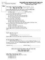 De KTDK GHKI Tieng Viet 2 KTD  20102011