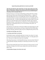 Tải Làm sao để giáo dục giới tính cho trẻ - Giáo dục giới tính cho trẻ em