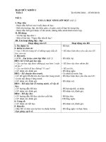 Dao duc 54321 Tuan 2