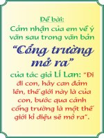 CAM NHAN VE VAN BAN  CONG TRUONG MO RA