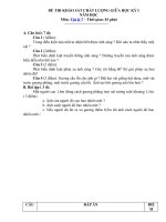 Tải Đề khảo sát chất lượng giữa học kì 1 môn Vật lý 7 có đáp án - Đề thi giữa kì 1 lớp 7 môn Vật lý