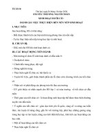 TUAN 8 CHAN TROI SANG TAO LOP 1DU MON