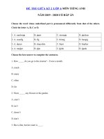 Tải Đề thi tiếng Anh lớp 6 giữa học kì 2 năm 2019 - 2020 số 3 - Đề kiểm tra tiếng Anh 6 mới có đáp án